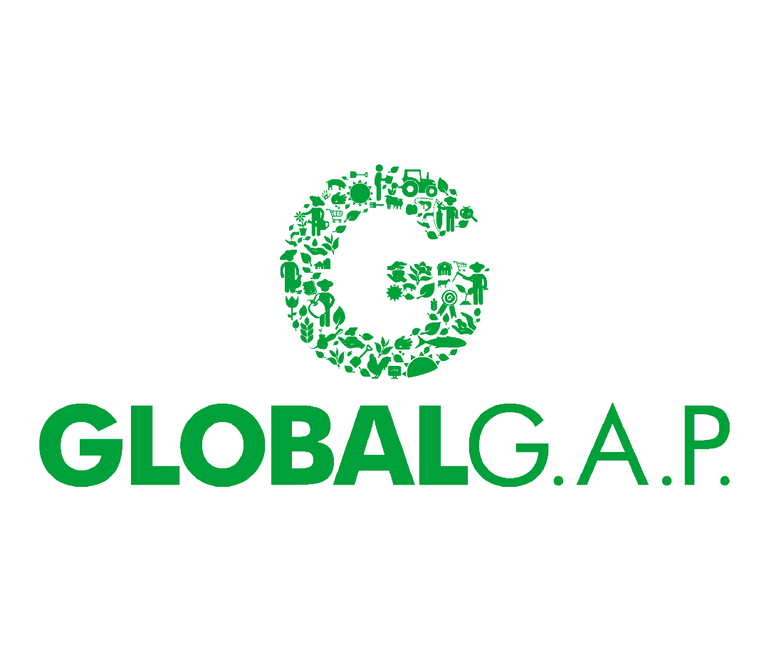 certificados-01