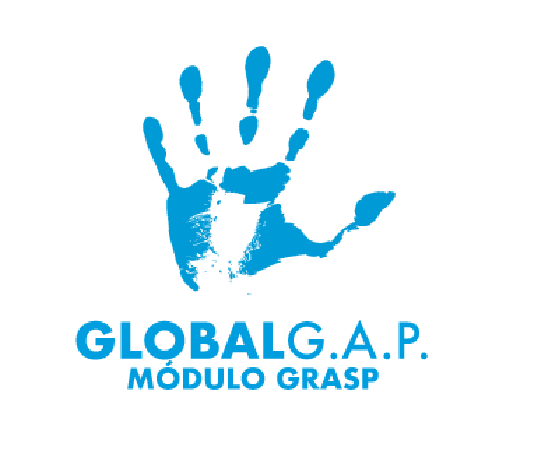 certificados-04